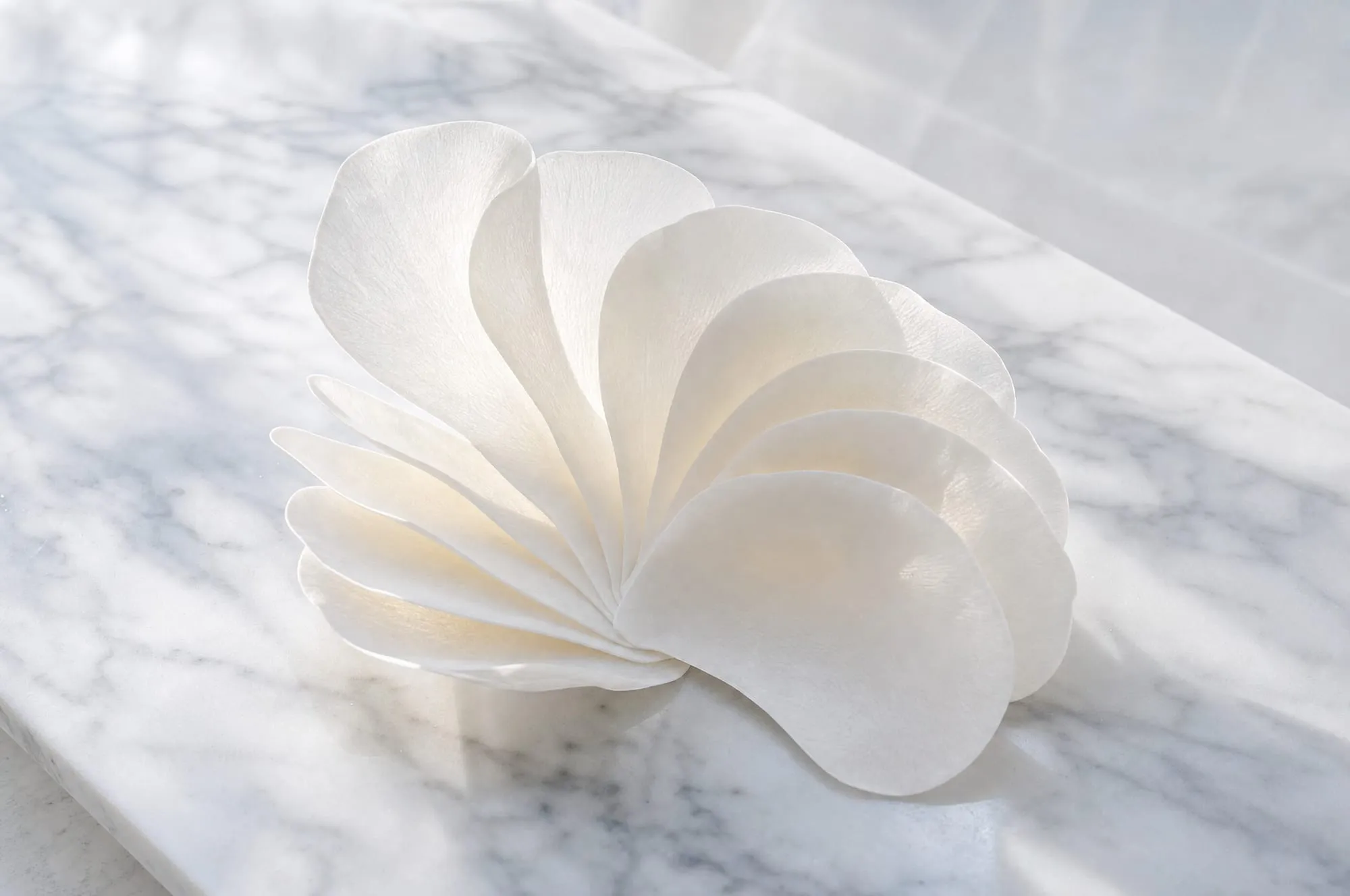 A fan of thin porcelain wafers arranged like petals on marble